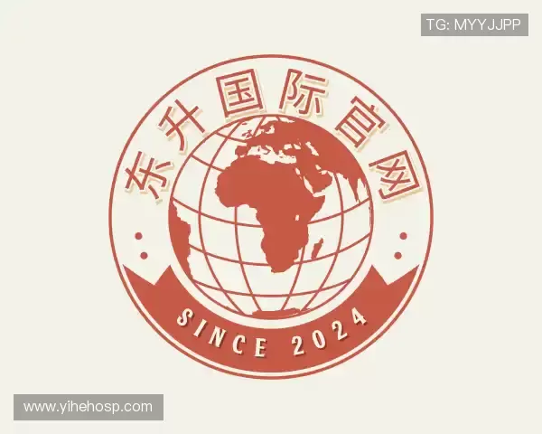 解读东升国际官网